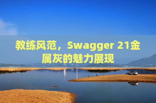 教练风范，Swagger 21金属灰的魅力展现